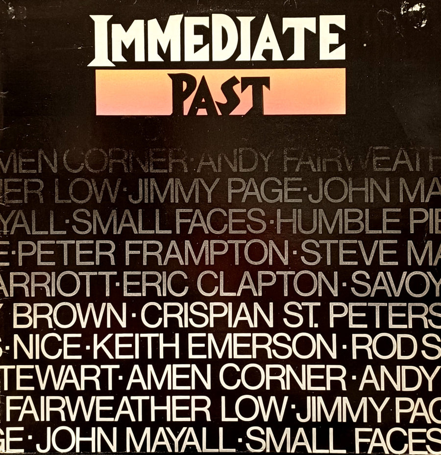 Immediate Past vol1. - LP